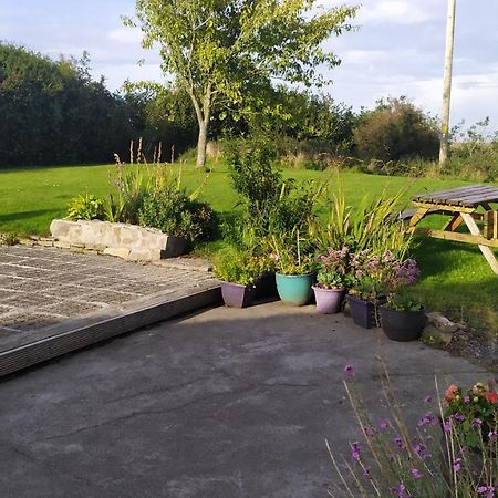Lovely Cosy Cottage Close To Atlantic Beaches Dromore West Exteriör bild